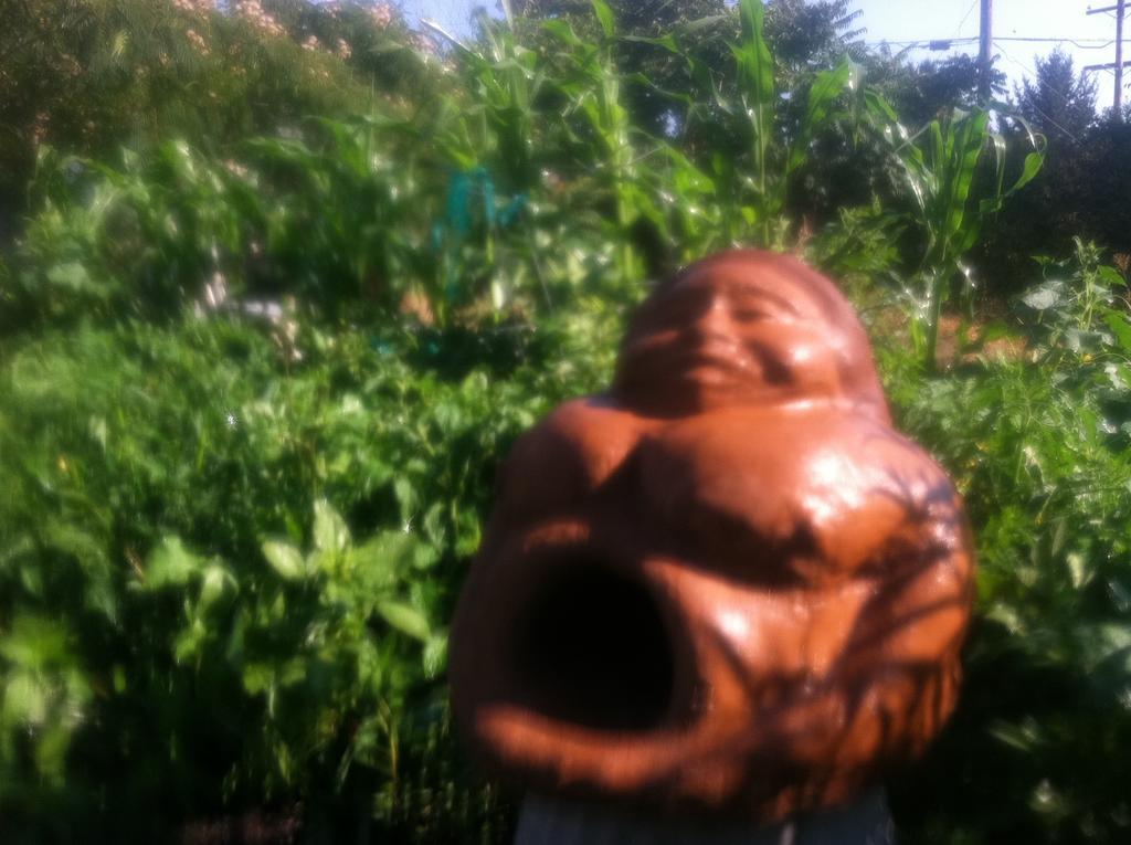 Hobbit Hut Hotel Geyserville Bagian luar foto